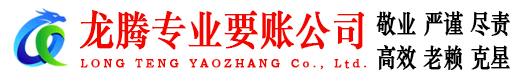 孝南龙腾清债公司
